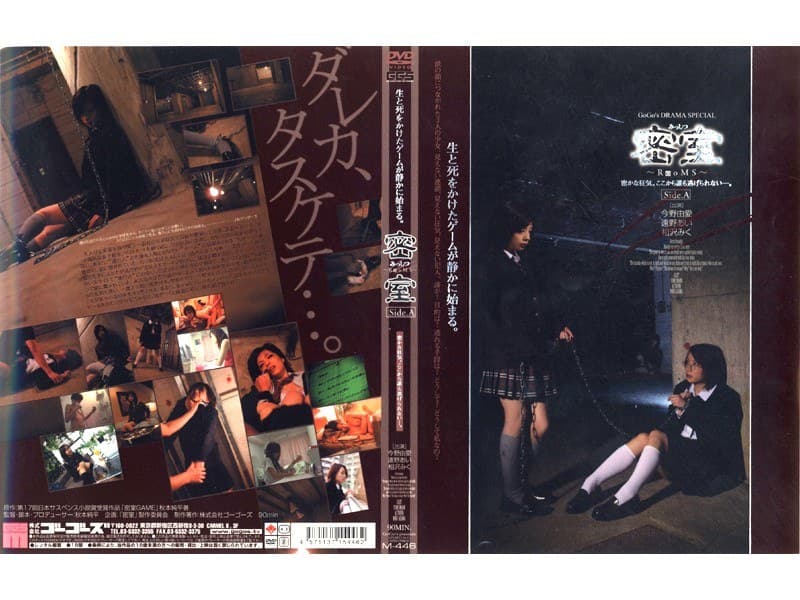密室 Side.Aのパッケージ画像