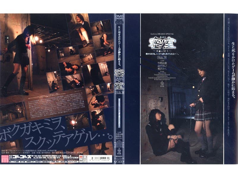 密室 Side.Bのパッケージ画像