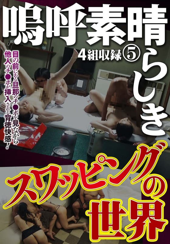 嗚呼素晴らしきスワッピングの世界 5のパッケージ画像
