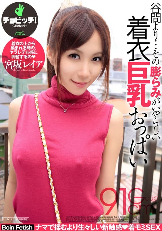 谷間より…その膨らみがいやらしい着衣巨乳おっぱい 宮坂レイアのパッケージ画像